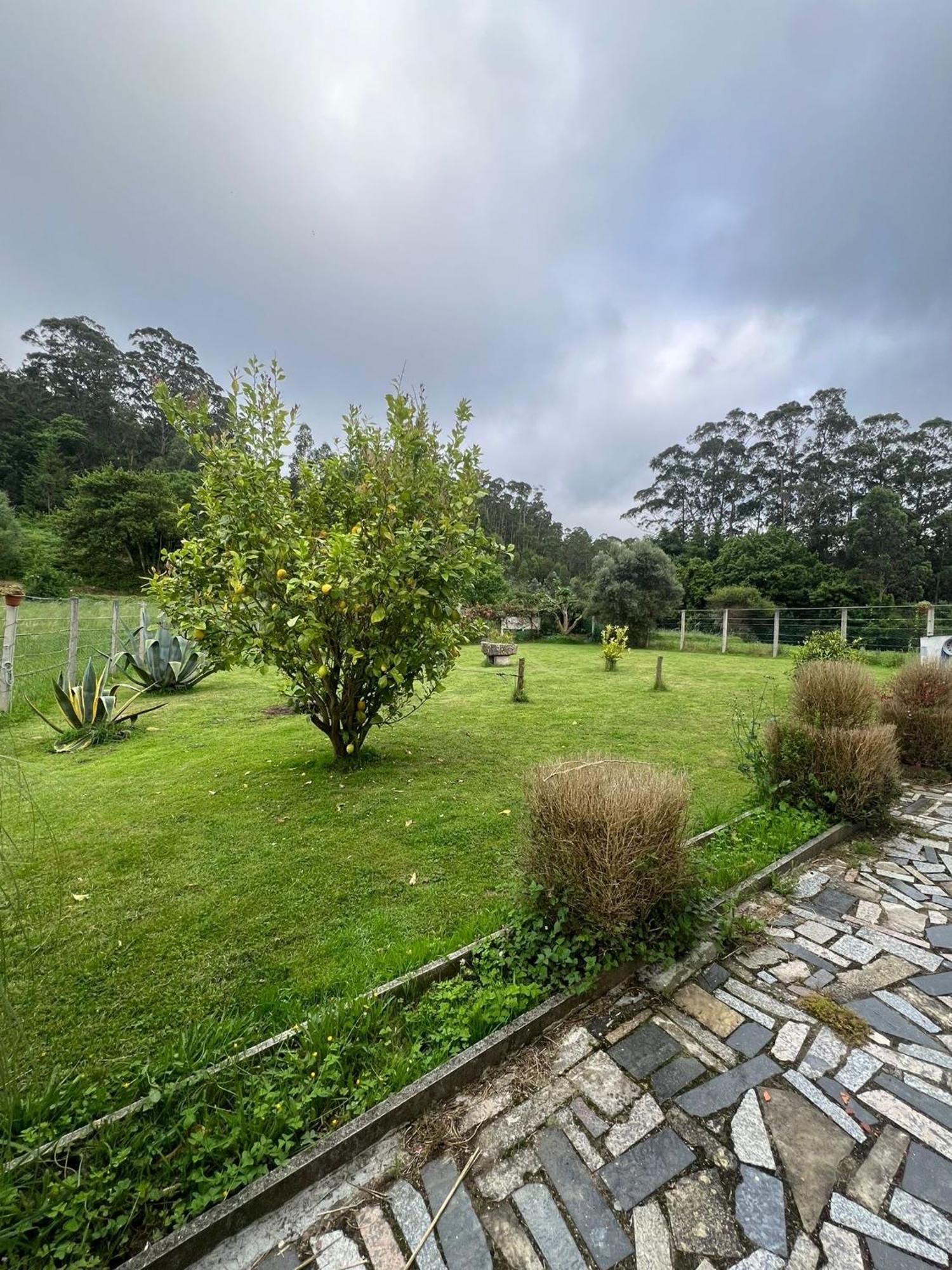 Casa De Campo Adosada Viveiro Extérieur photo